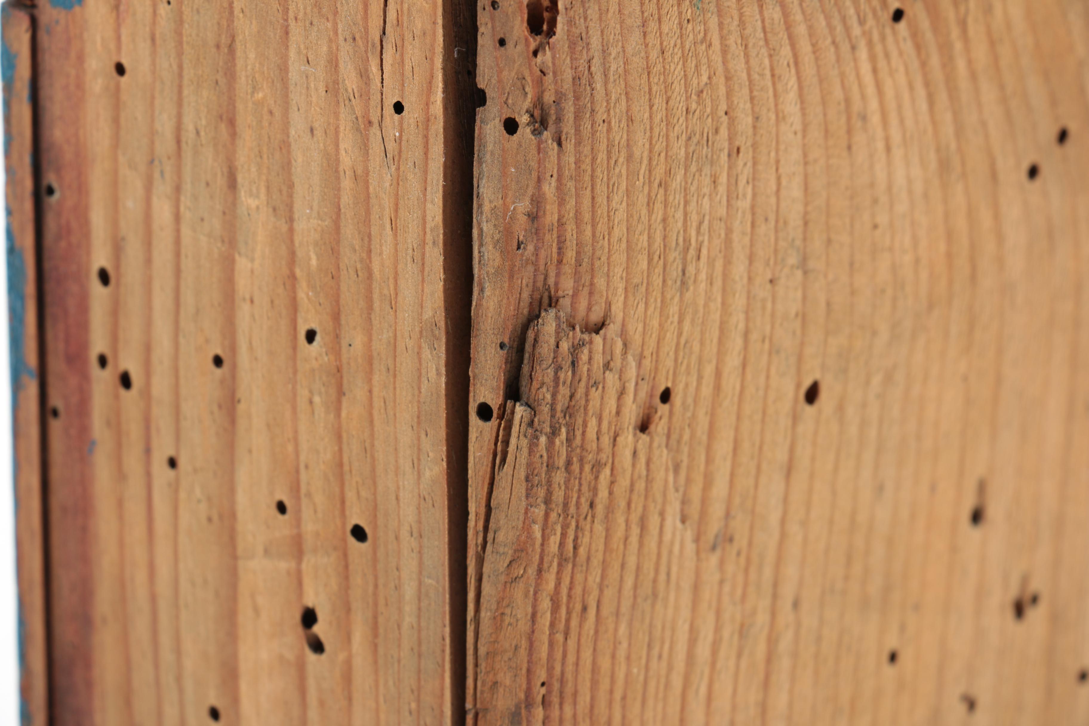 St. Francis of Assisi Nicho and Santo