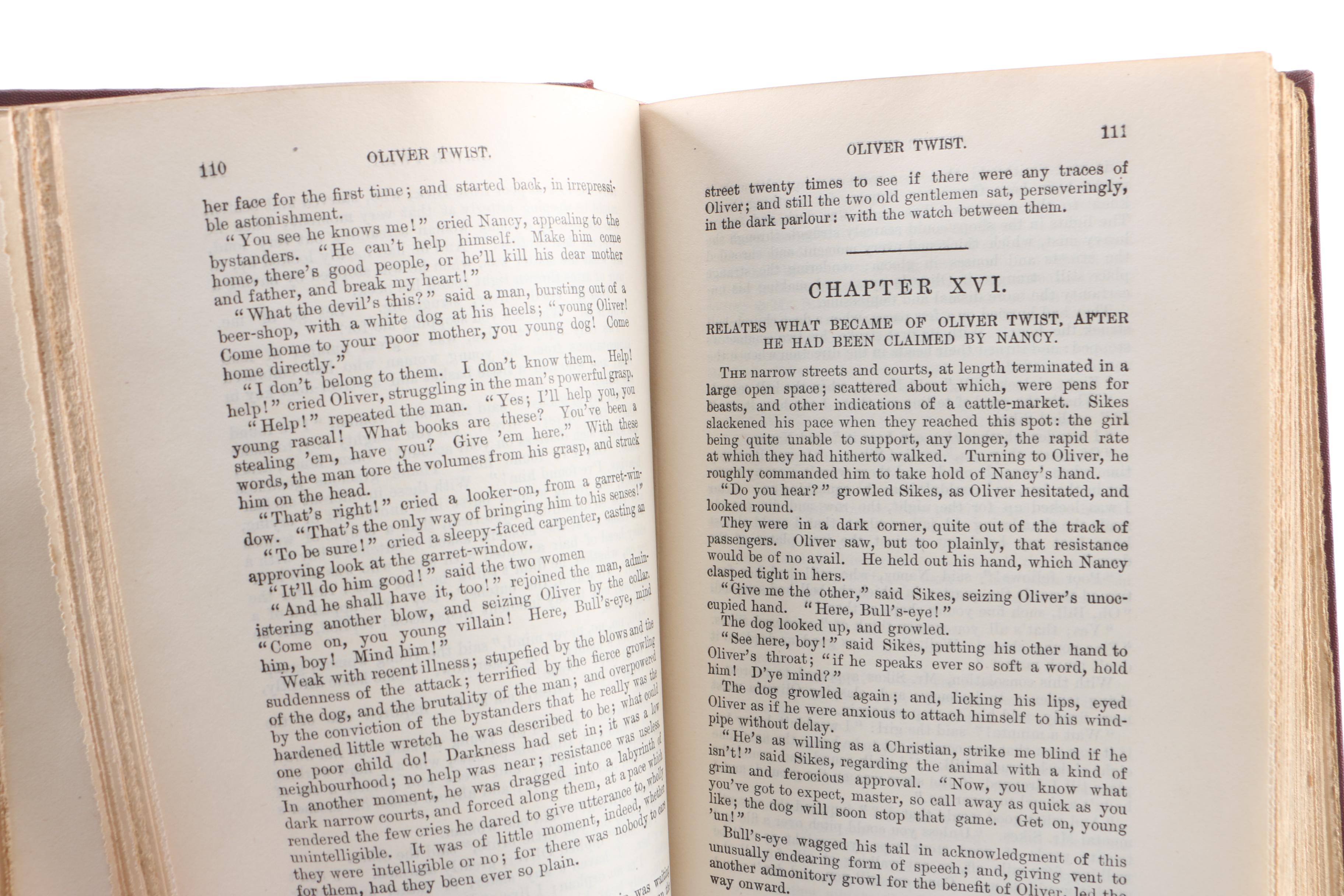 Early 20th Century Edition de Luxe Volumes of Charles Dickens Works