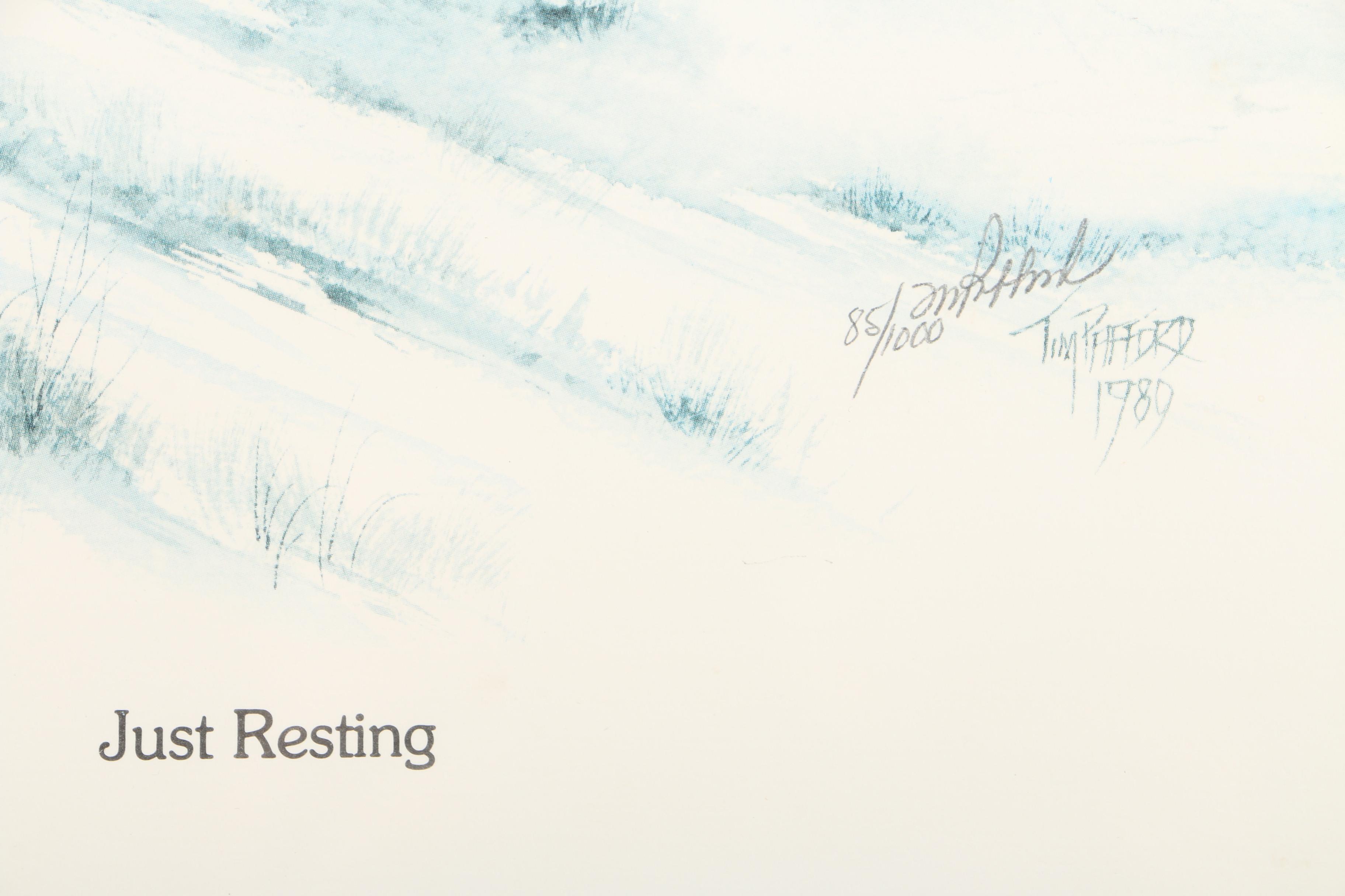 Tim Pafford Limited Edition Offset Lithograph "Just Resting"