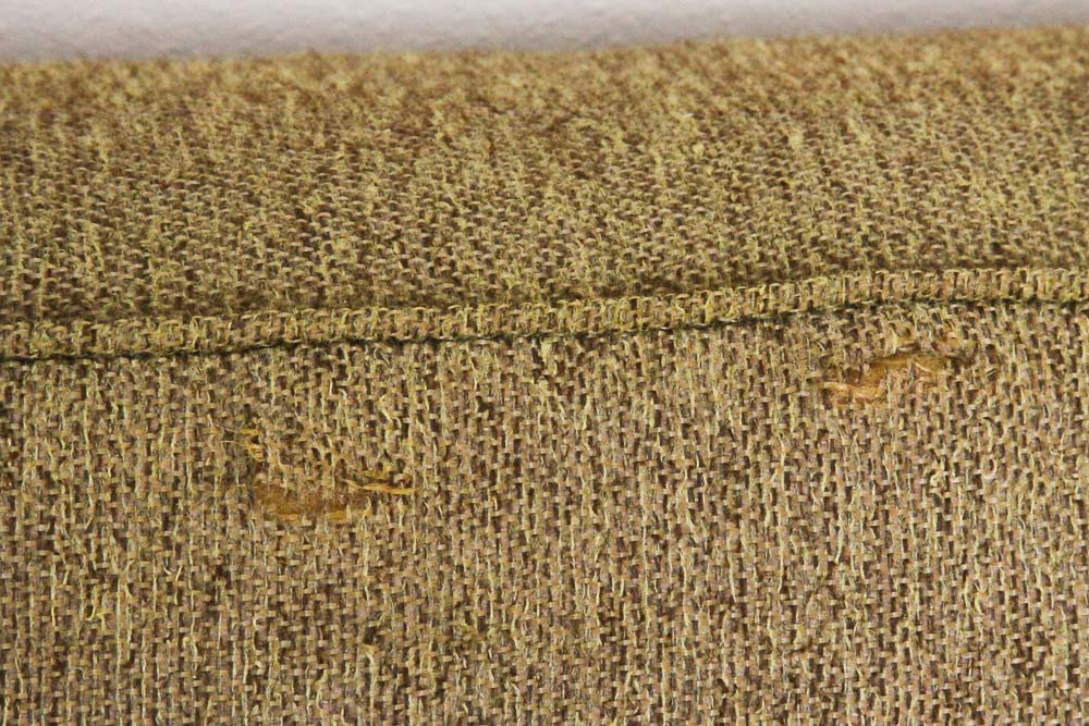 Mid Century Modern Sleeper Sofa