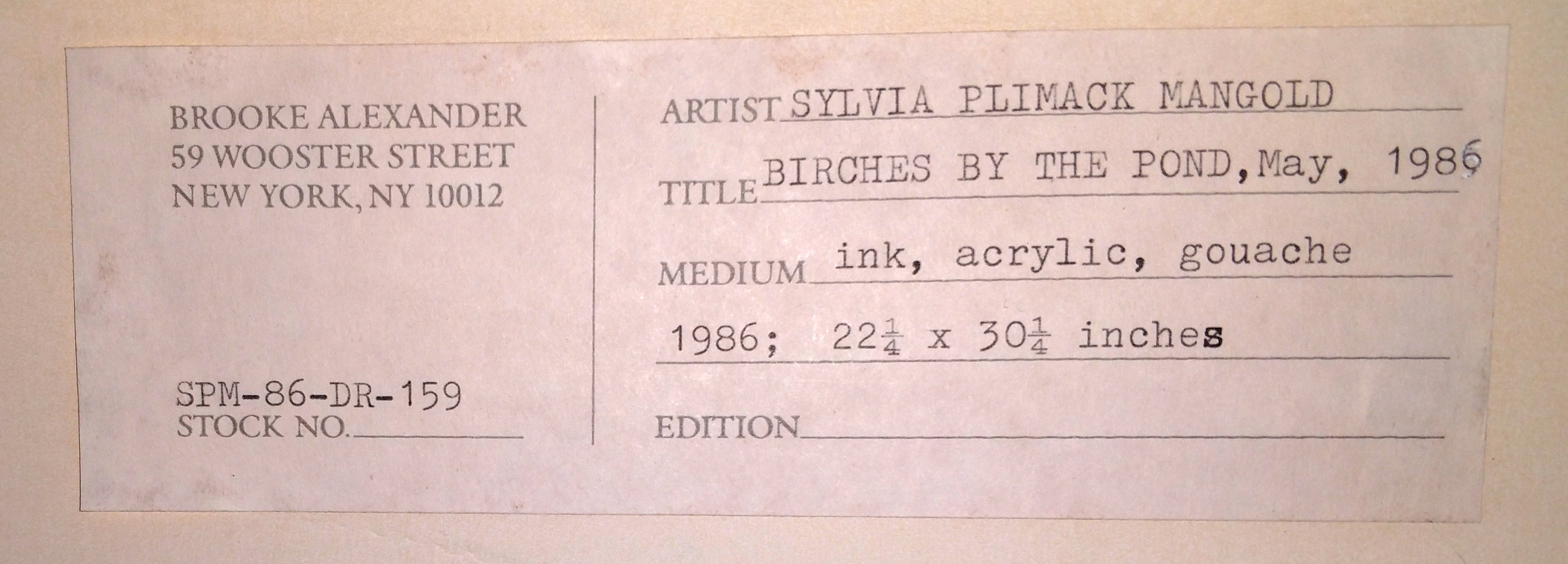 Sylvia Plimack Mangold 1986 Mixed Media Painting on Paper "Birches by the Pond"