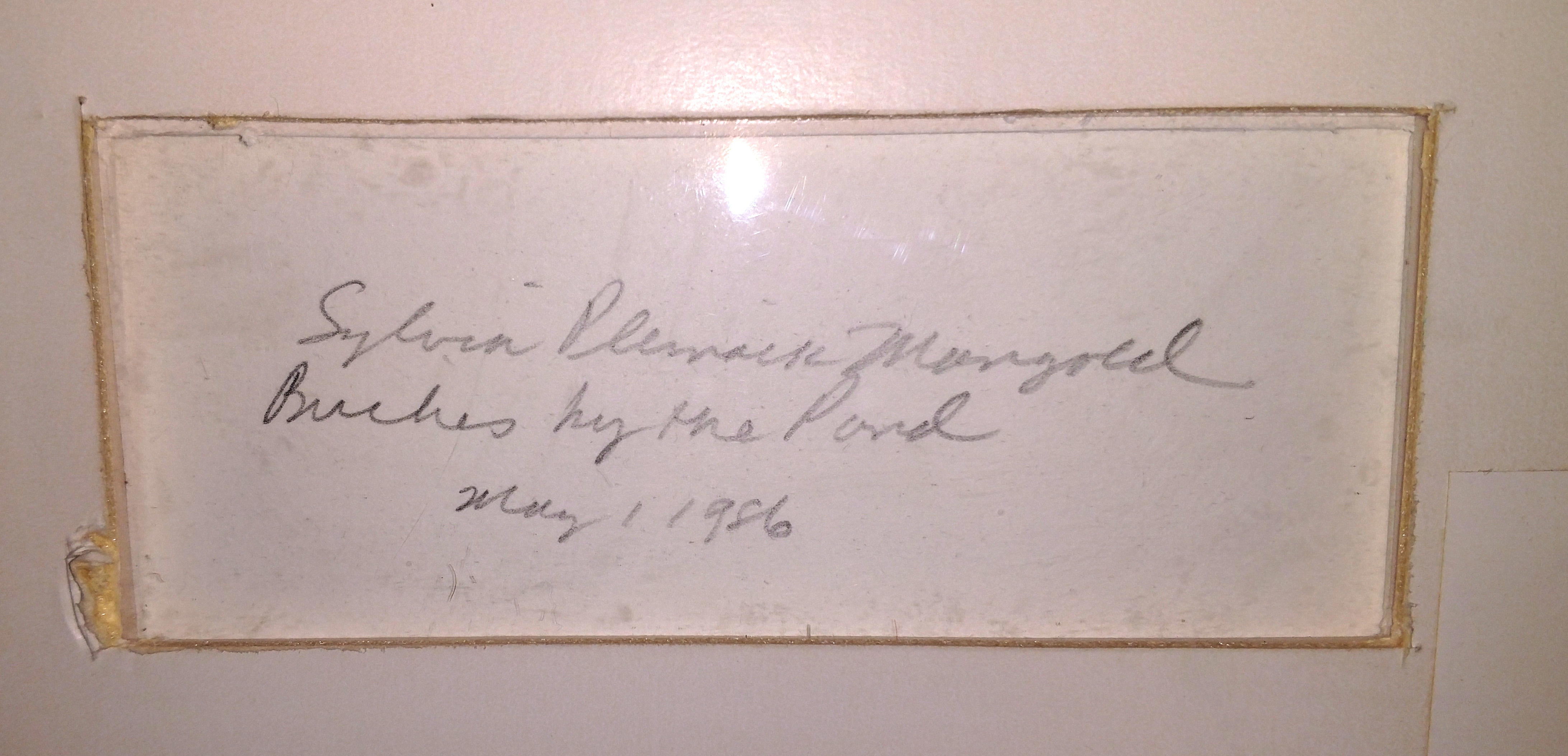 Sylvia Plimack Mangold 1986 Mixed Media Painting on Paper "Birches by the Pond"