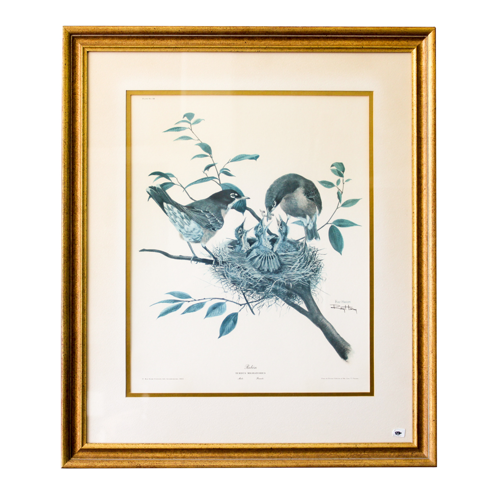 Offset Lithograph After Ray Harm "Robin"