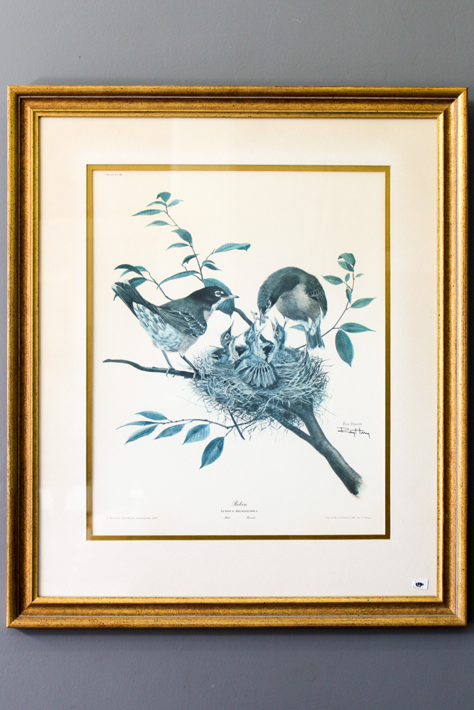 Offset Lithograph After Ray Harm "Robin"