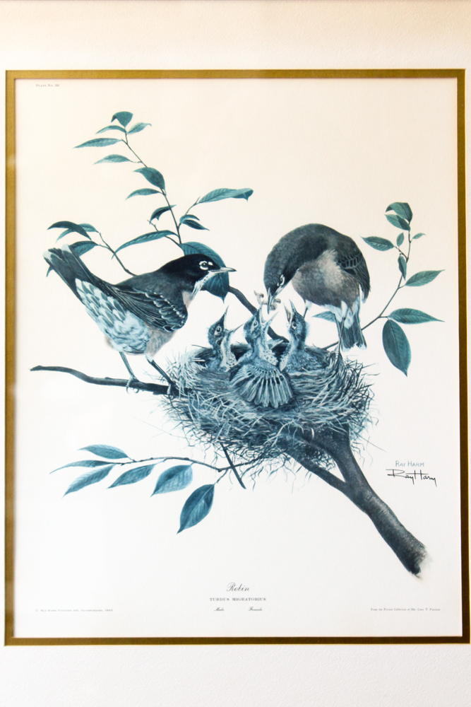 Offset Lithograph After Ray Harm "Robin"