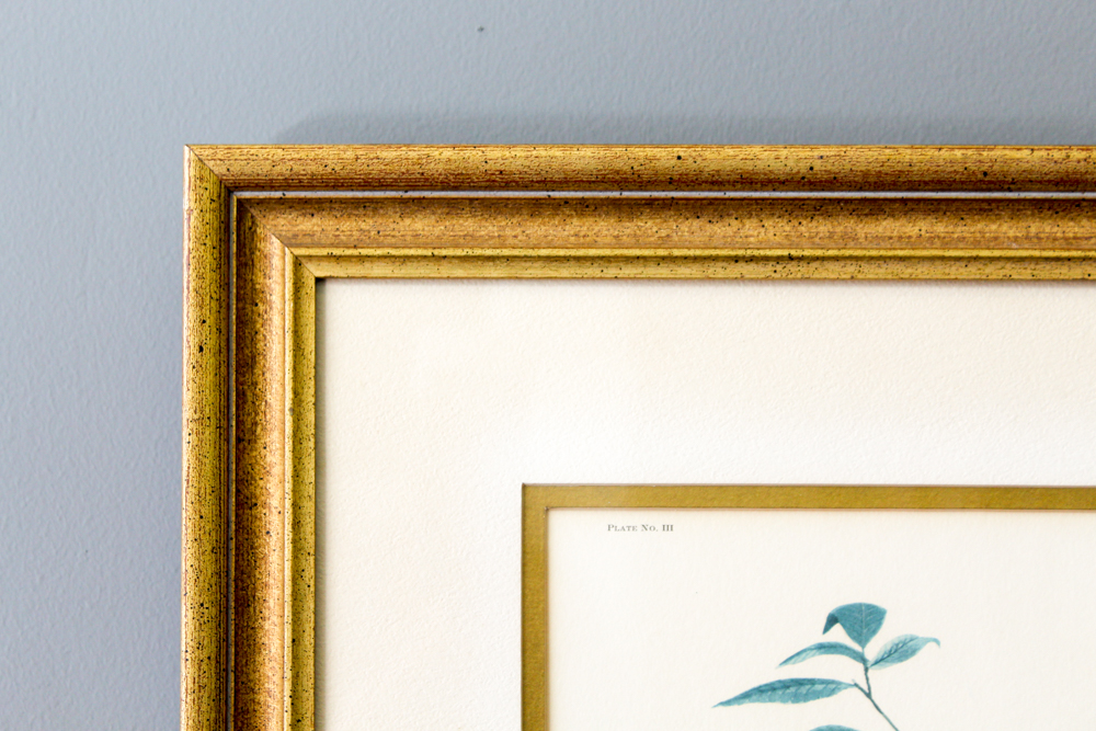 Offset Lithograph After Ray Harm "Robin"