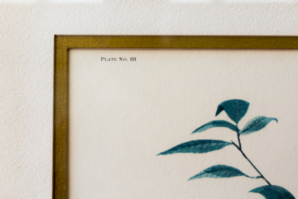 Offset Lithograph After Ray Harm "Robin"