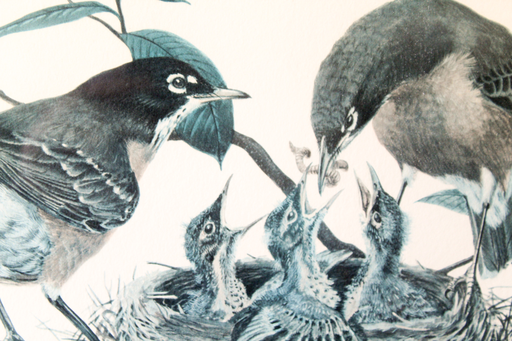 Offset Lithograph After Ray Harm "Robin"