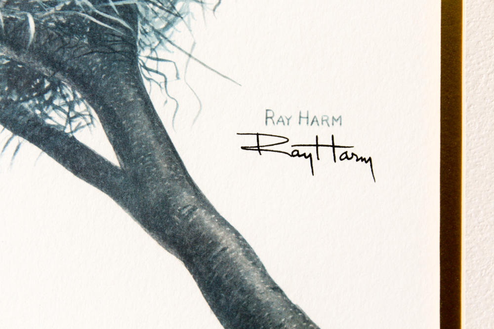 Offset Lithograph After Ray Harm "Robin"