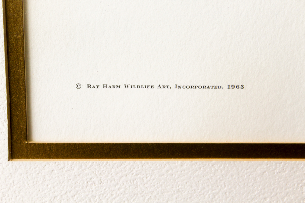 Offset Lithograph After Ray Harm "Robin"