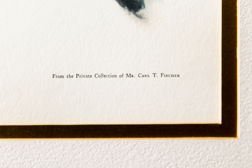 Offset Lithograph After Ray Harm "Robin"