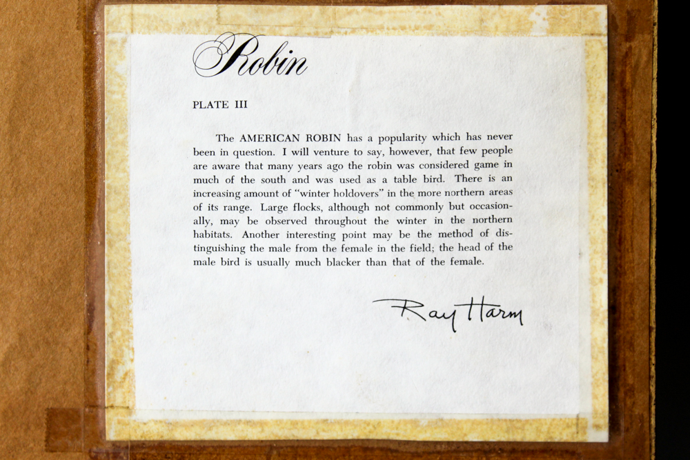 Offset Lithograph After Ray Harm "Robin"