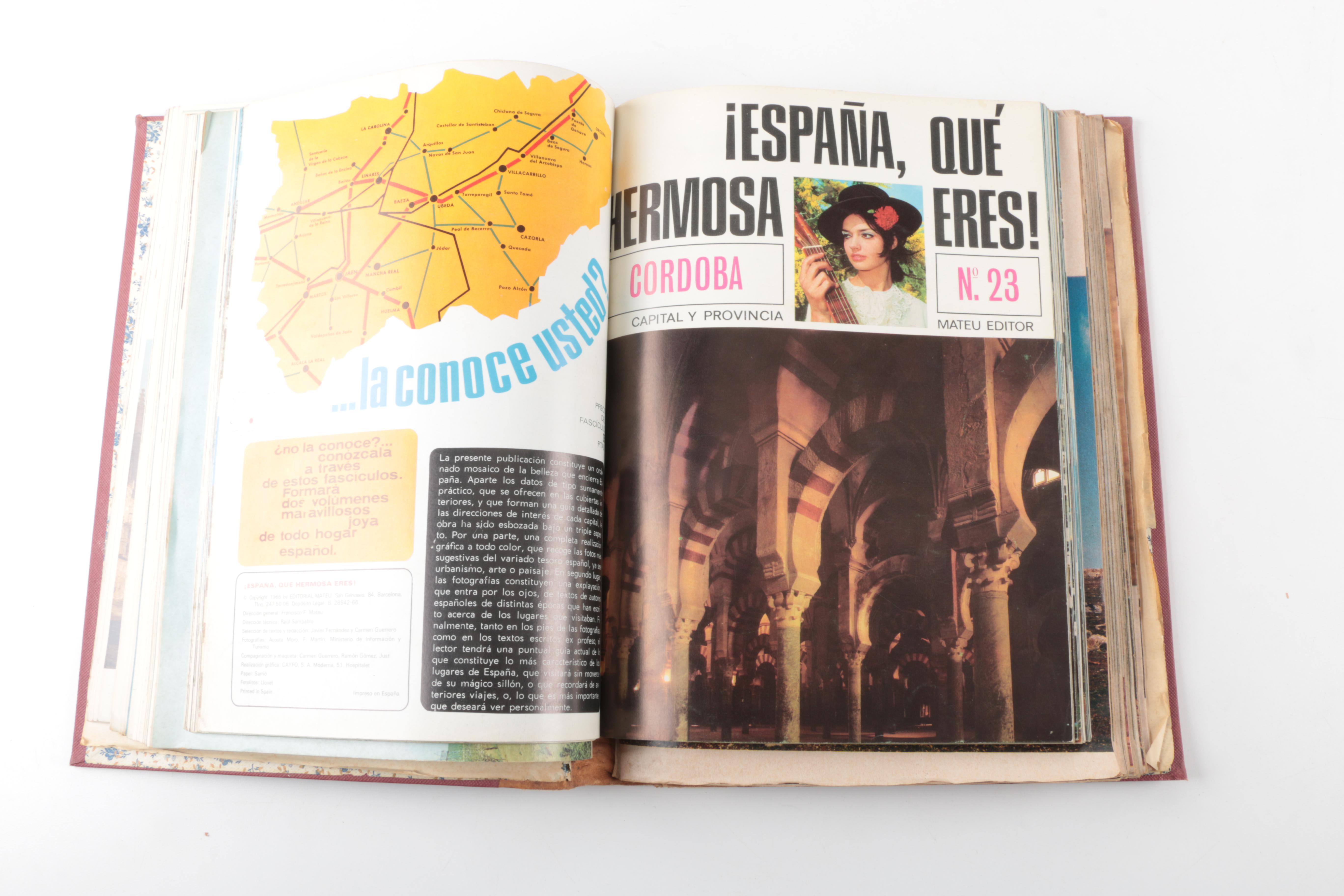 Antique and Vintage History Books featuring 1899 "Our Islands"