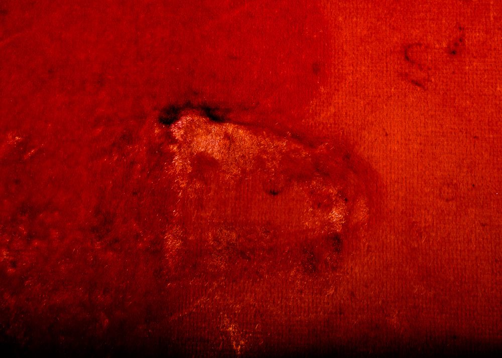 G&L L-1000 Electric Bass Guitar and Case