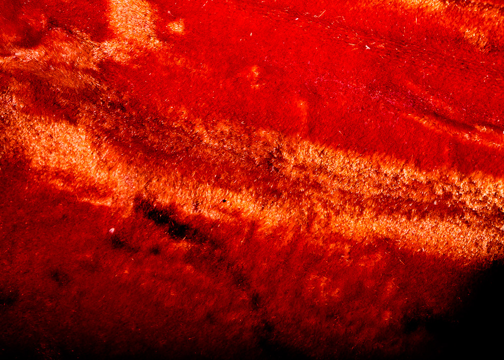 G&L L-1000 Electric Bass Guitar and Case