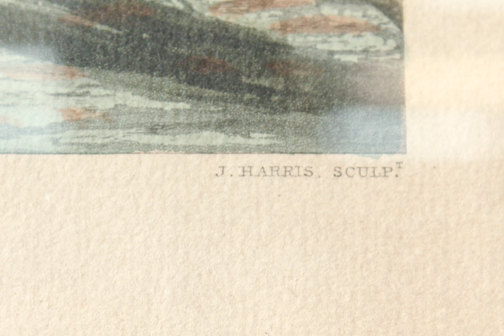 Offset Lithograph "The Royal Fox Hunters"