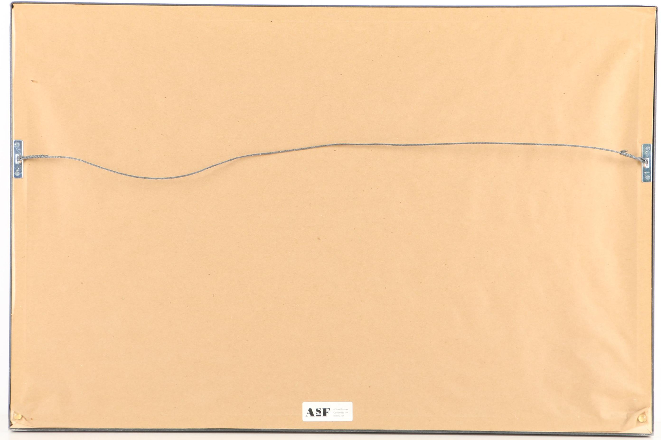 Black and White Digital Photograph of an Overgrown Barn Wall