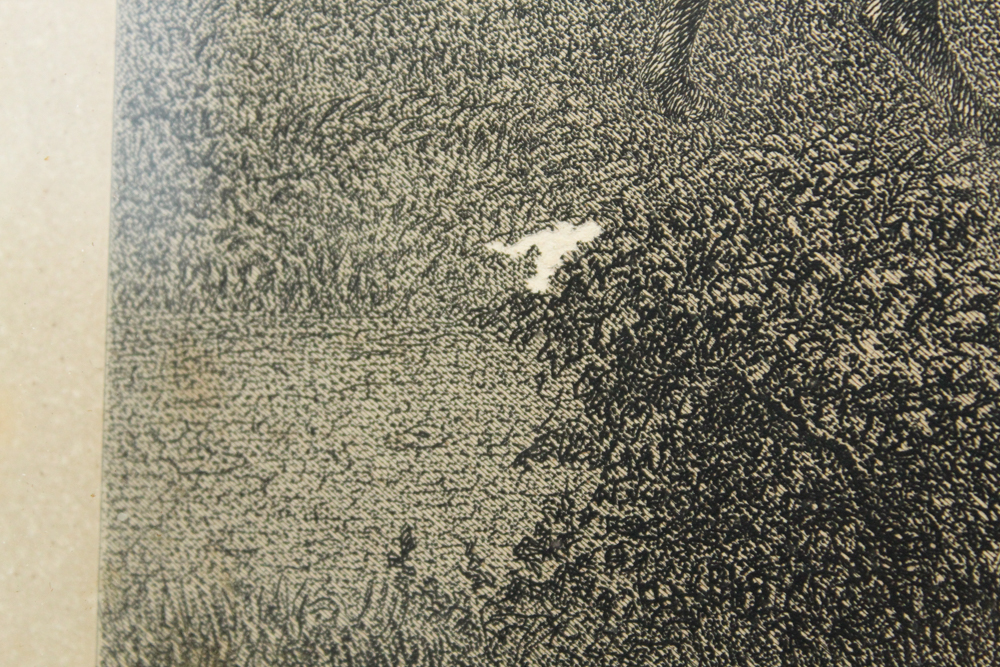 Antique Framed "Home of Washington" Engraving