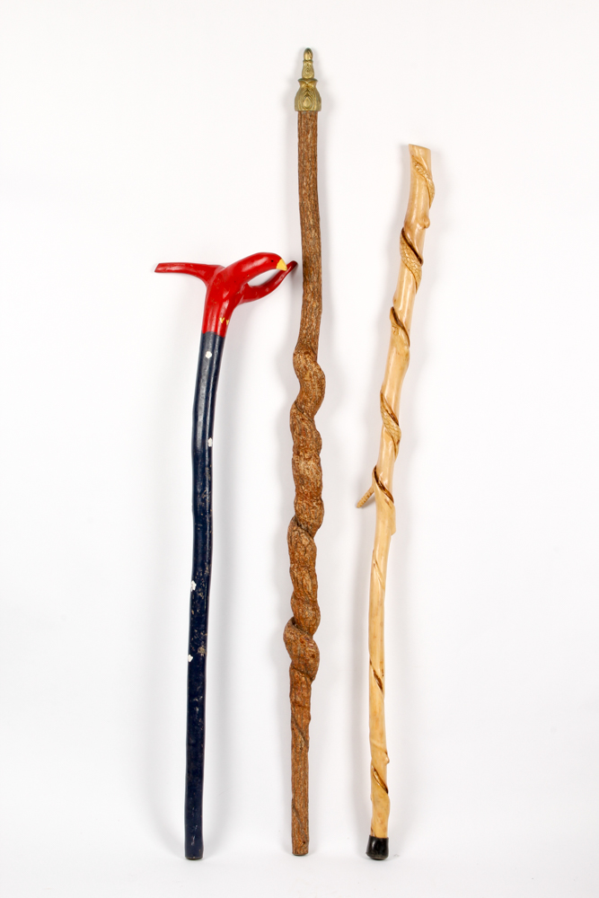 Kentucky Folk Art Walking Canes in Brass Stand