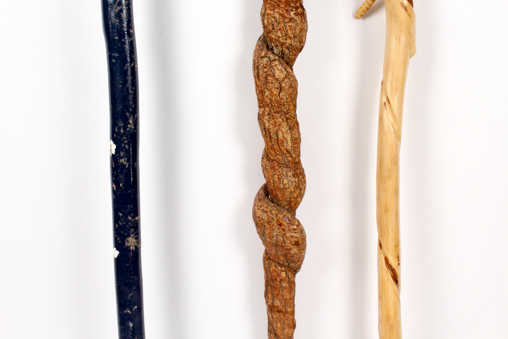 Kentucky Folk Art Walking Canes in Brass Stand