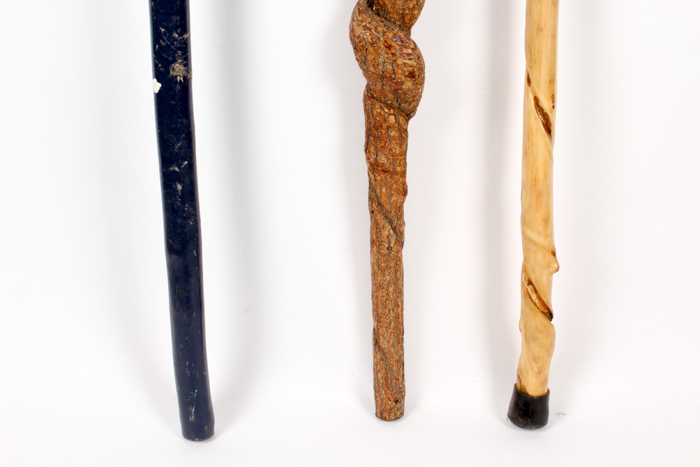 Kentucky Folk Art Walking Canes in Brass Stand