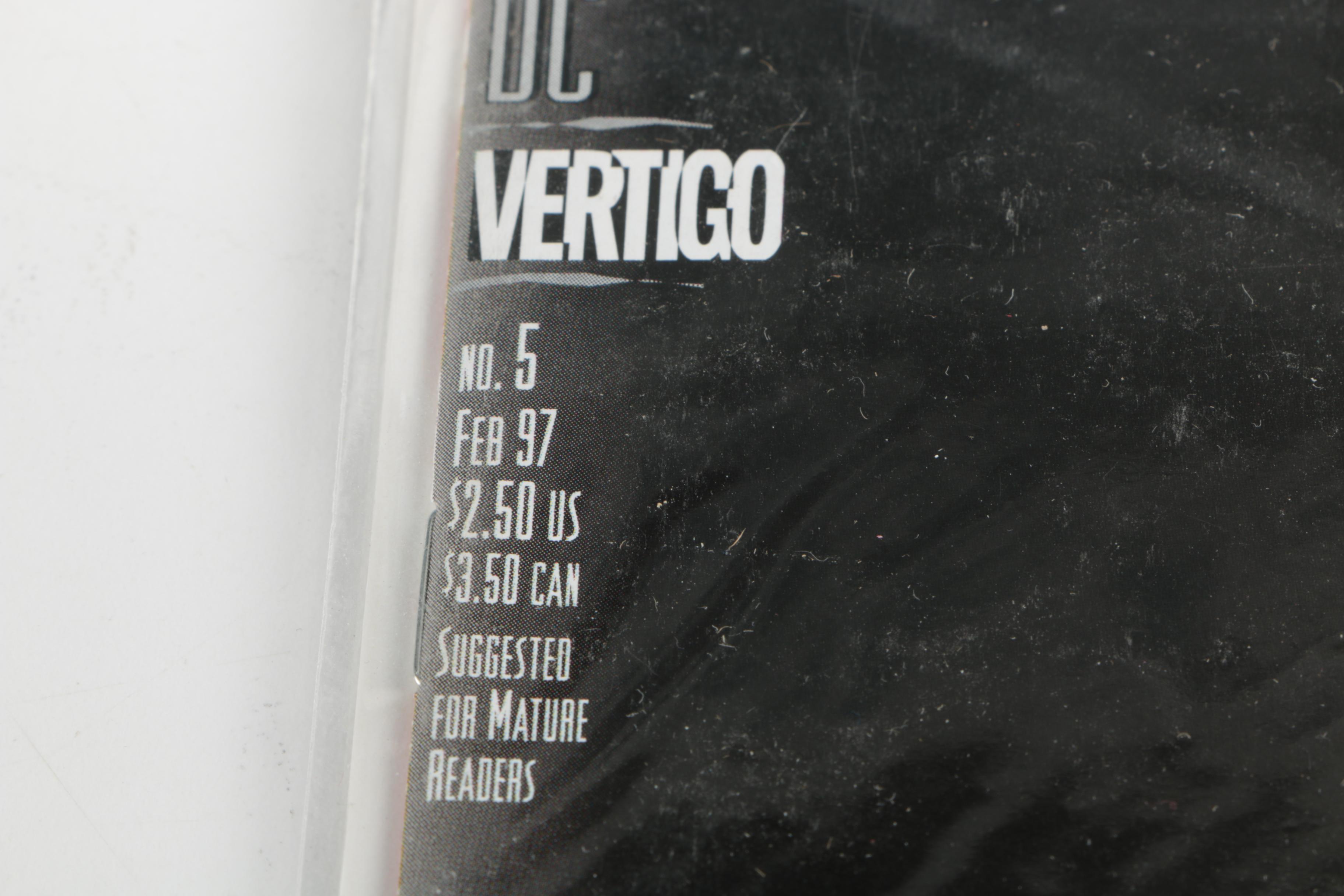 Nineteen DC and Vertigo Modern Age Comic Books