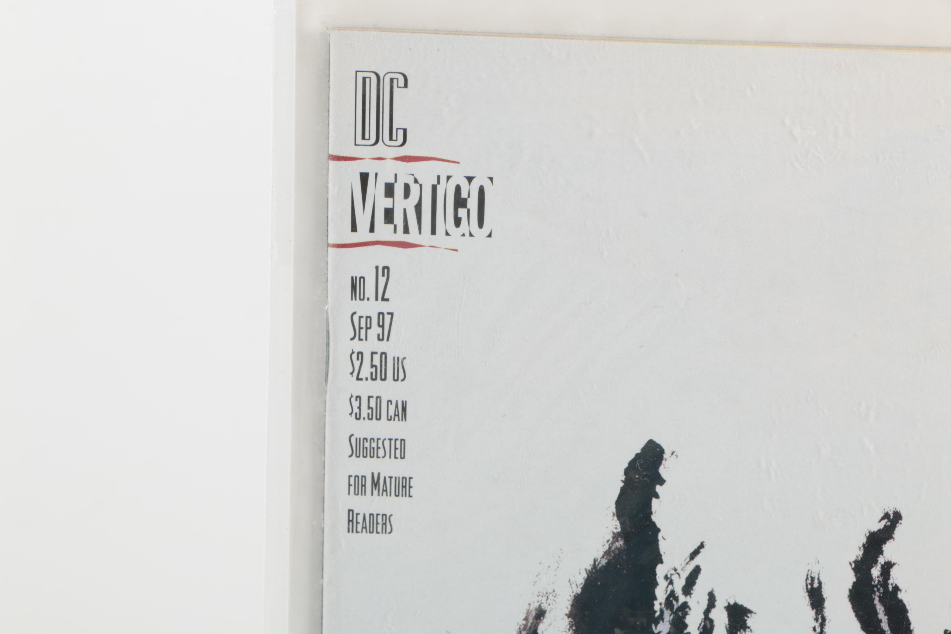 Nineteen DC and Vertigo Modern Age Comic Books