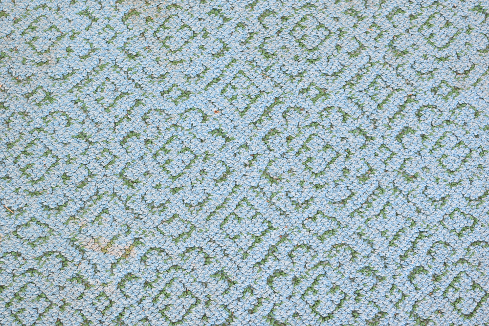 Power-Loomed Portuguese Arraiolos Area Rug