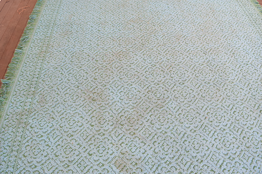 Power-Loomed Portuguese Arraiolos Area Rug