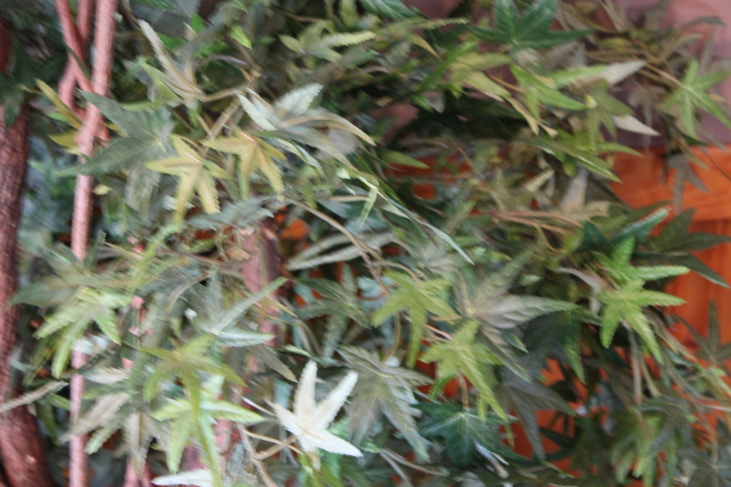 Faux Japanese  Maple Tree in Planter