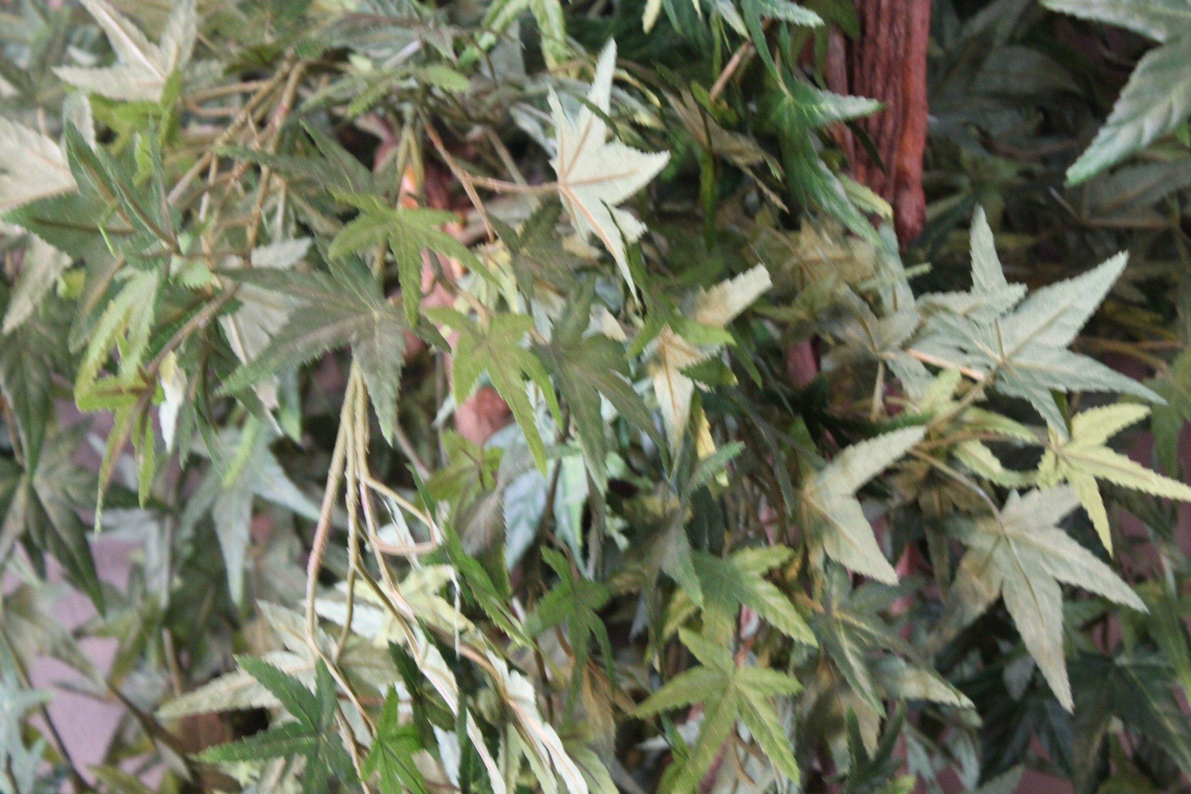 Faux Japanese  Maple Tree in Planter