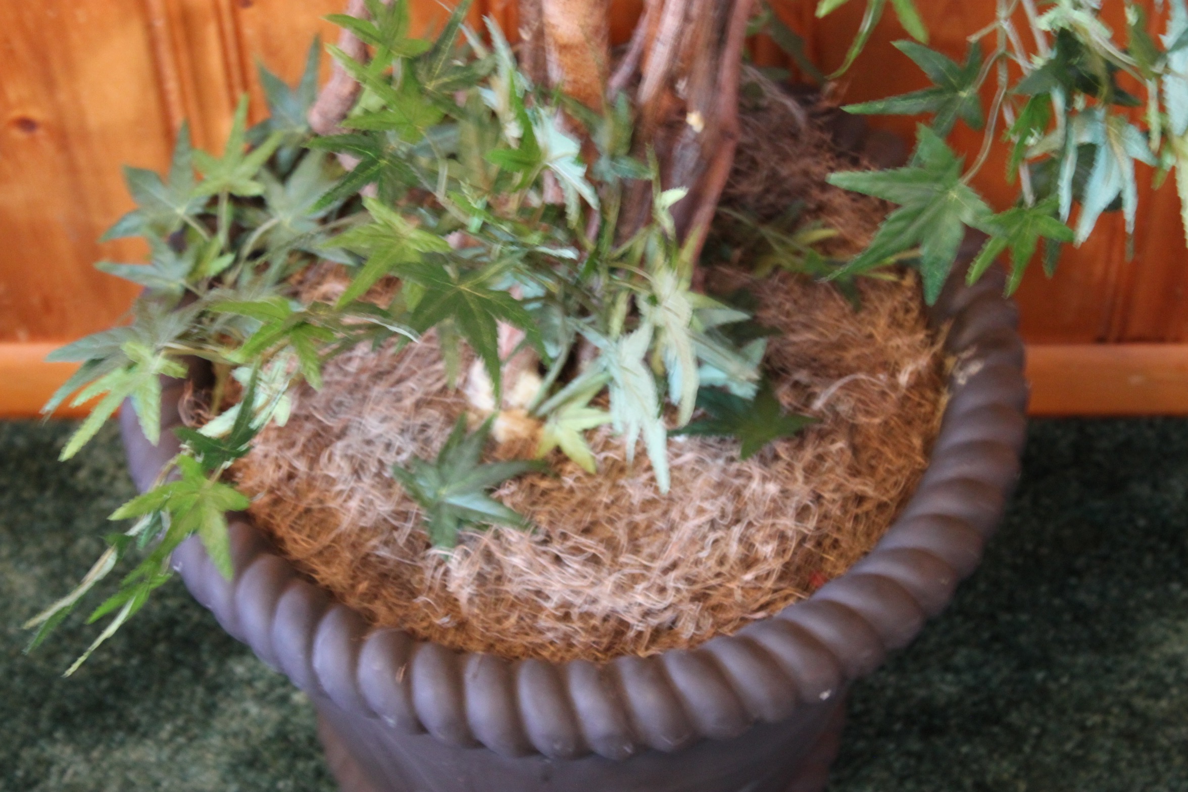 Faux Japanese  Maple Tree in Planter