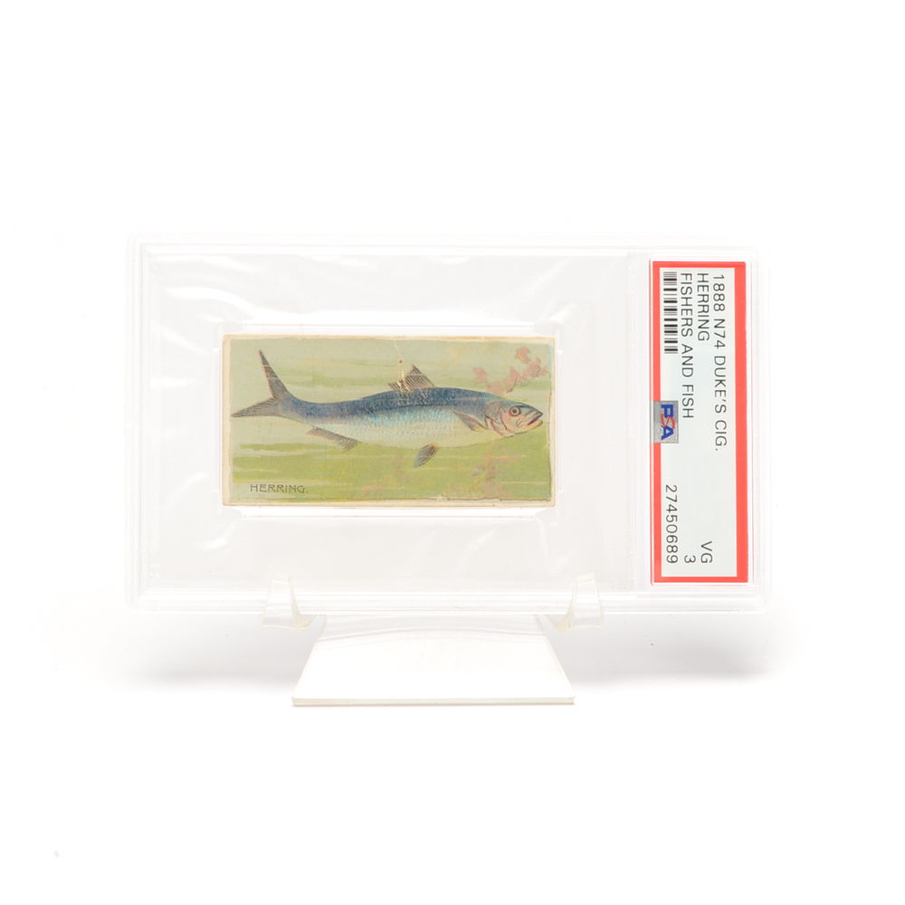 1888 "Duke's Cigarettes" PSA Fish Trading Card