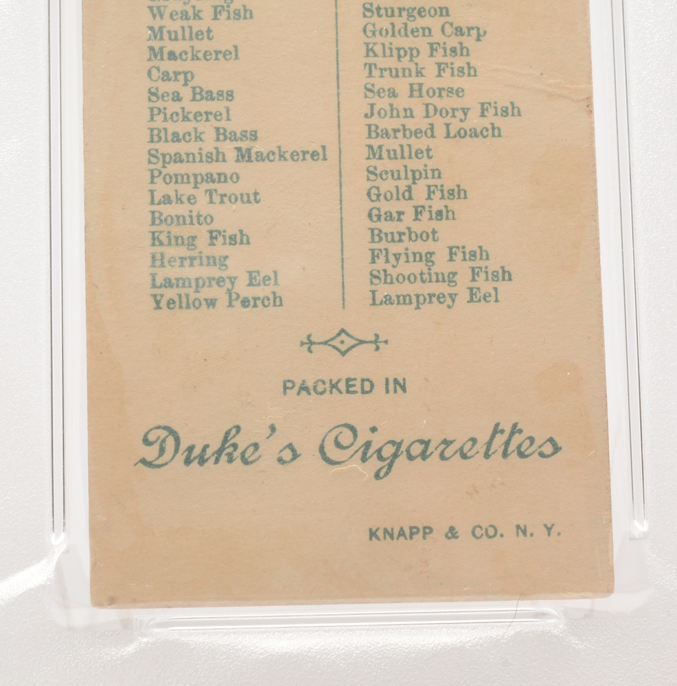 1888 "Duke's Cigarettes" PSA Fish Trading Card