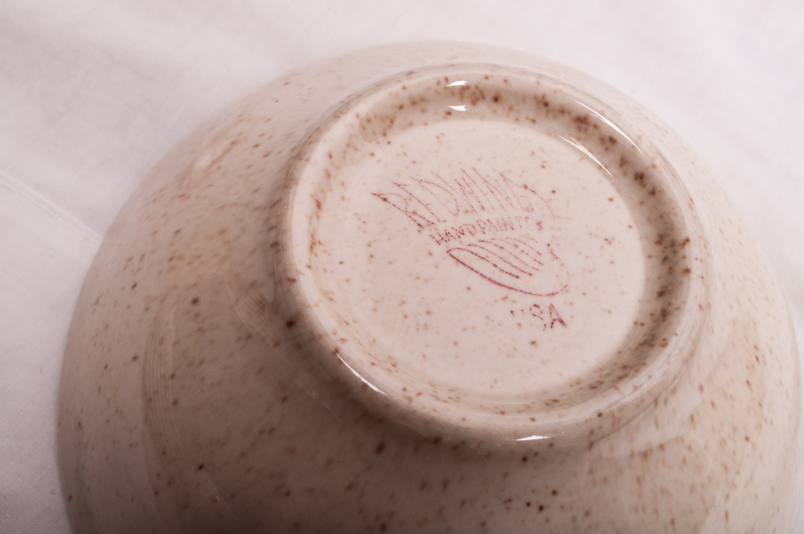 Vintage Red Wing "Tampico" Hand-Painted China Tableware