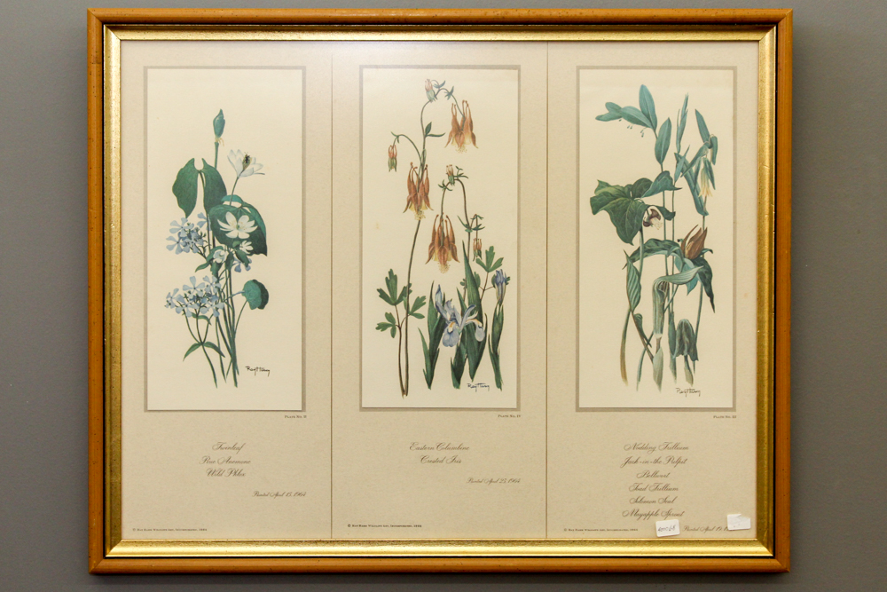 After Ray Harm Pair Framed Offset Lithographs