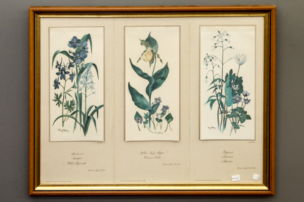 After Ray Harm Pair Framed Offset Lithographs