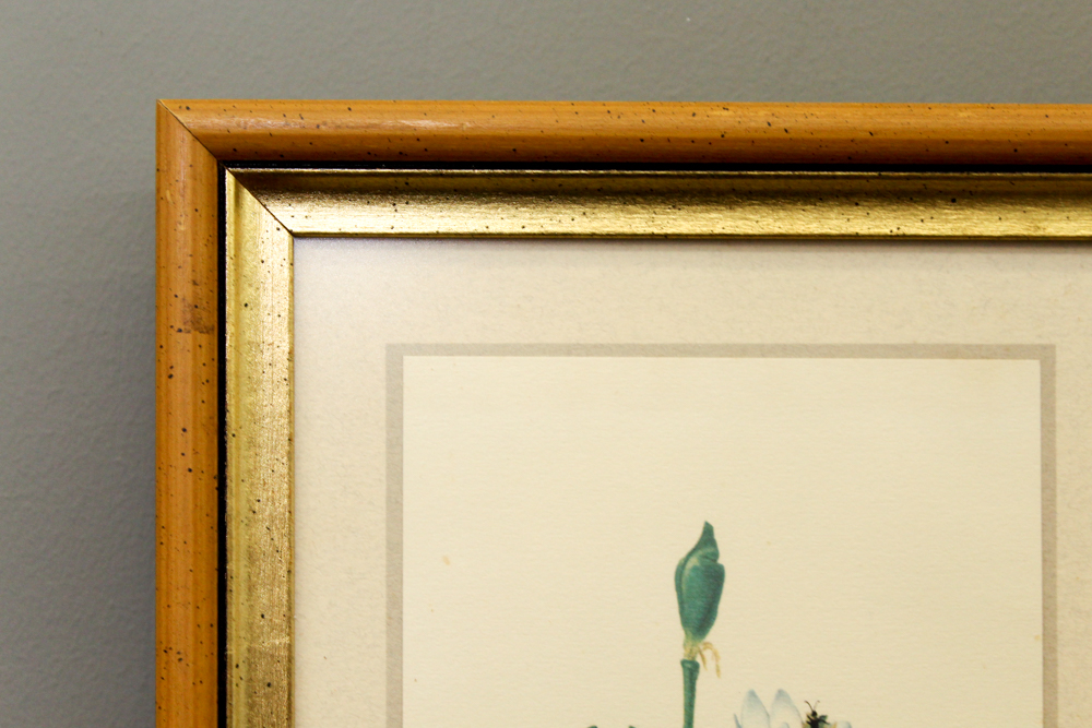 After Ray Harm Pair Framed Offset Lithographs