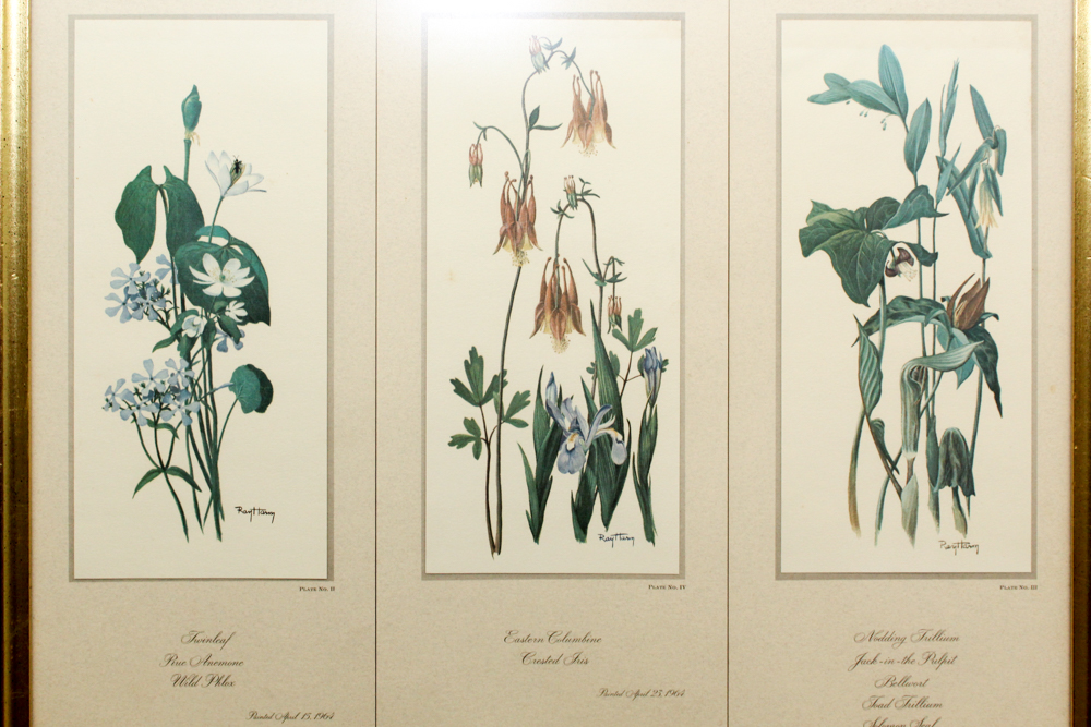 After Ray Harm Pair Framed Offset Lithographs