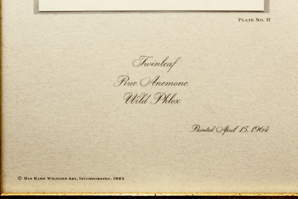 After Ray Harm Pair Framed Offset Lithographs