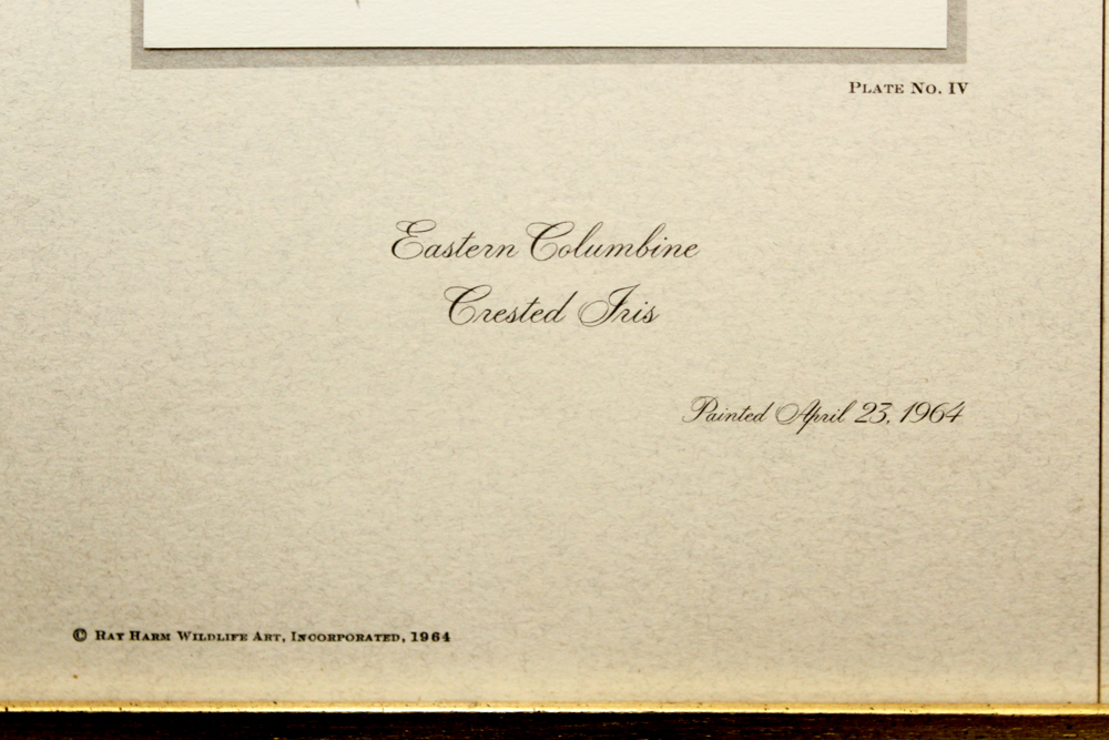 After Ray Harm Pair Framed Offset Lithographs