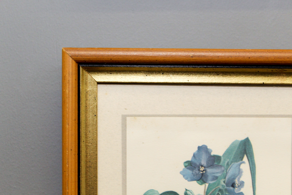 After Ray Harm Pair Framed Offset Lithographs