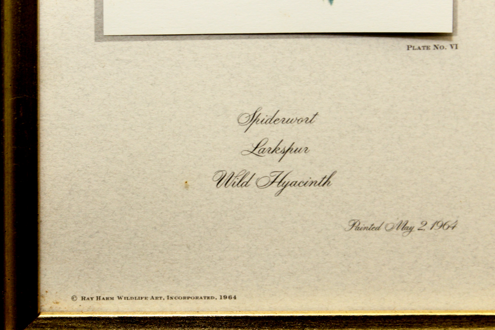 After Ray Harm Pair Framed Offset Lithographs