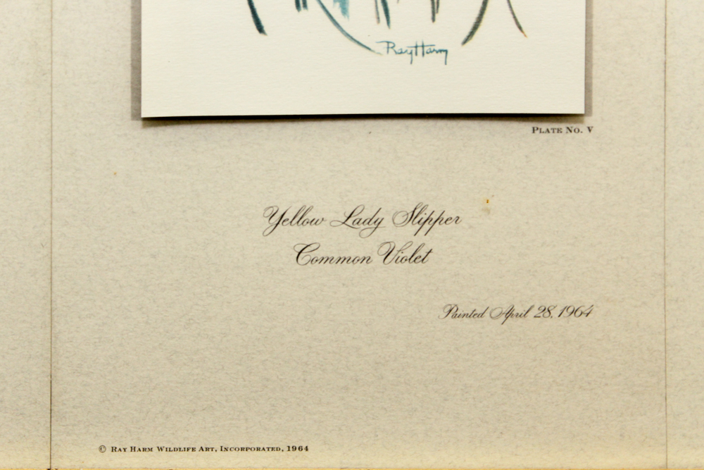 After Ray Harm Pair Framed Offset Lithographs