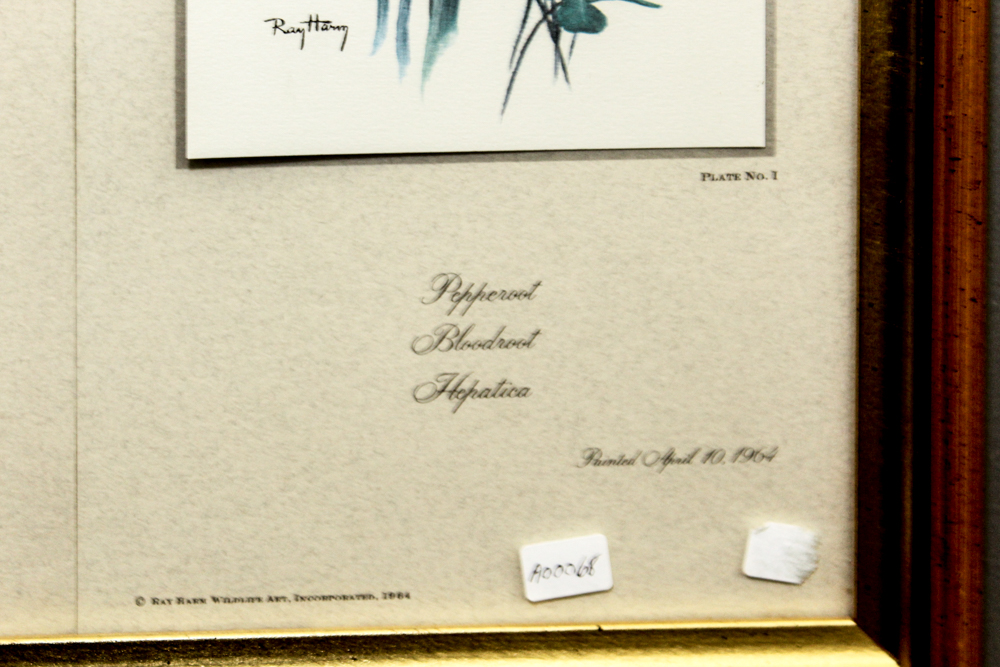 After Ray Harm Pair Framed Offset Lithographs