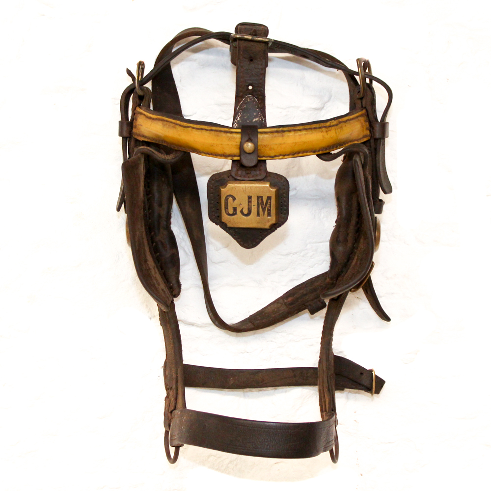 Vintage Monogrammed Driving Horse Bridle With Blinkers