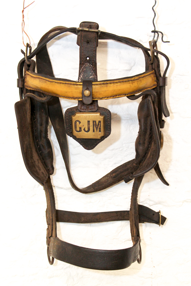 Vintage Monogrammed Driving Horse Bridle With Blinkers