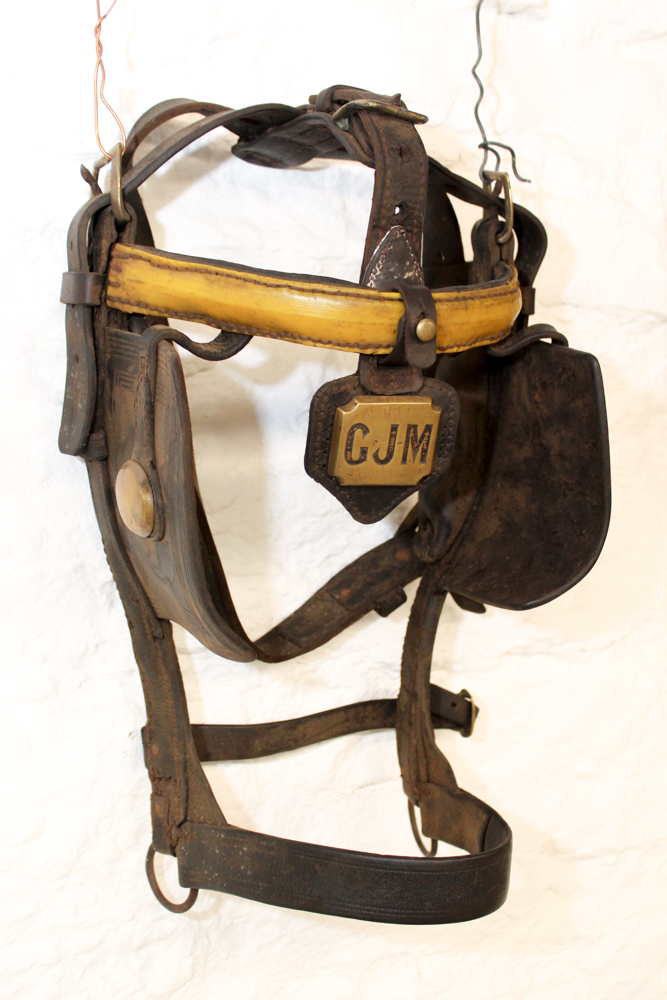 Vintage Monogrammed Driving Horse Bridle With Blinkers