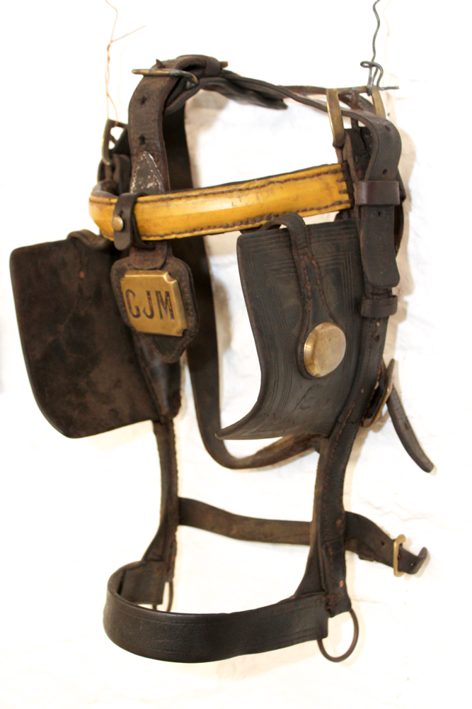 Vintage Monogrammed Driving Horse Bridle With Blinkers
