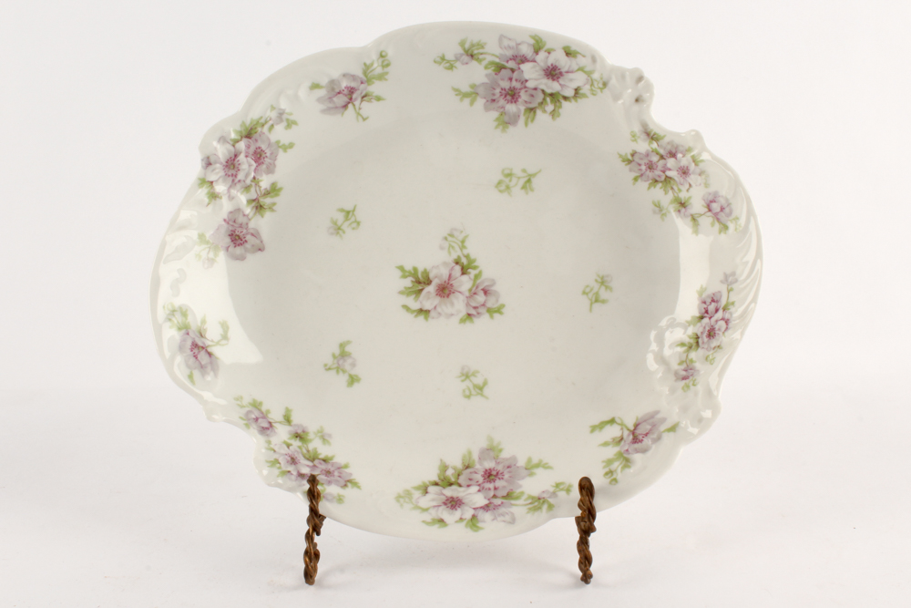 Early 20th C. Porcelain Tableware Featuring Bawo & Dotter